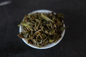 Autumn 2025 Yan Leng Yun