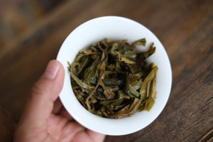 Autumn 2025 Jingmai Gushu