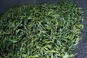 Spring 2026 Jingmai Single Trees