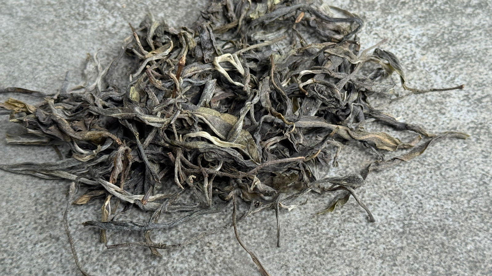 Spring 2025 Jingmai Single Trees