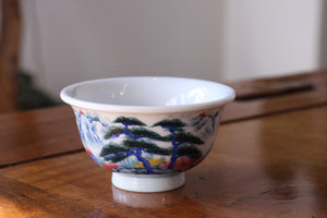Cup 19