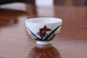 Cup 95