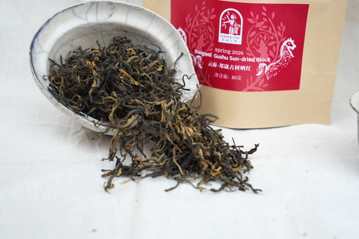 Spring 2026 Bangwai Gushu Sun-dried Black