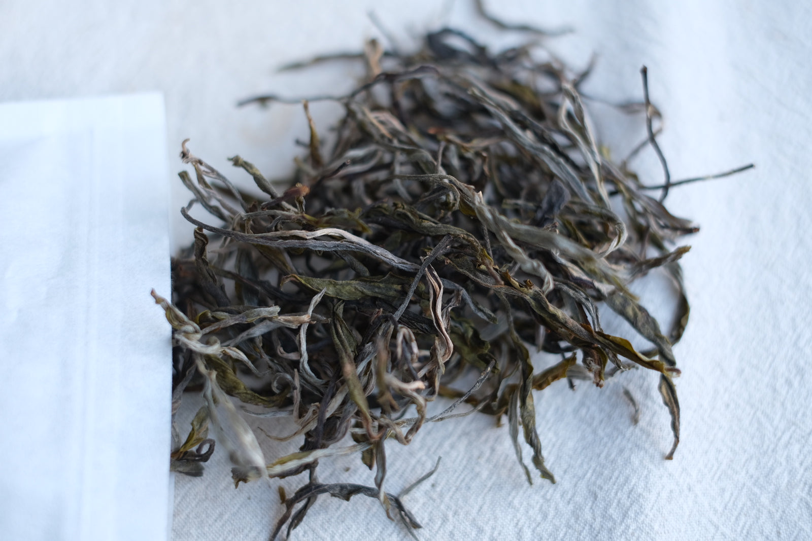 Spring 2026 Lao Man E Bitter Tea