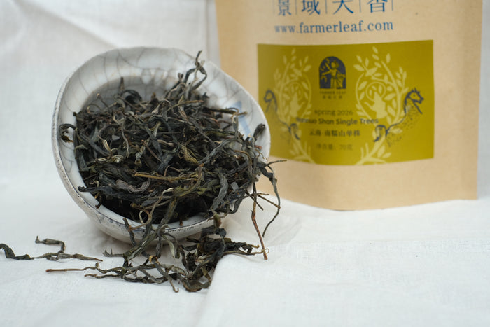 Spring 2026 Nan Nuo Single Trees