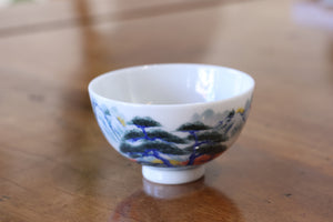 Cup 30