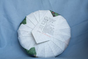 Spring 2026 Cang Yuan