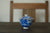 Gaiwan #12