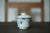 Gaiwan #10