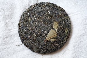 Autumn 2025 Yan Leng Yun