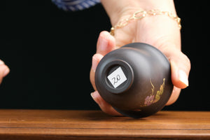 Jianshui cup 20