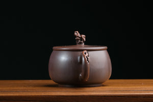 Jianshui teapot 23