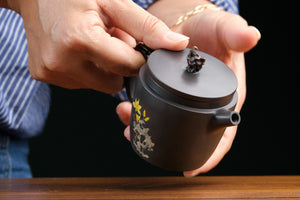 Jianshui teapot 14