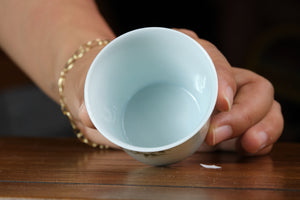 Jingdezhen cup 61