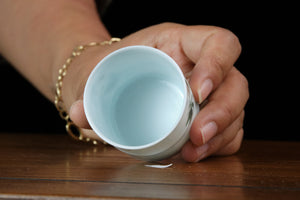 Jingdezhen cup 58