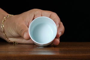 Jingdezhen cup 52