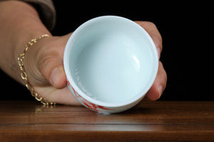 Jingdezhen cup 51