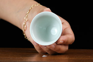Jingdezhen cup 100