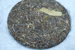 Spring 2026 Mang Nuo Gushu