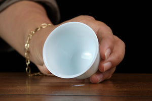 Jingdezhen cup 54