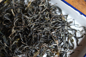 Spring 2026 Jingmai Shengtai Liu Dui