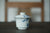 Gaiwan #10