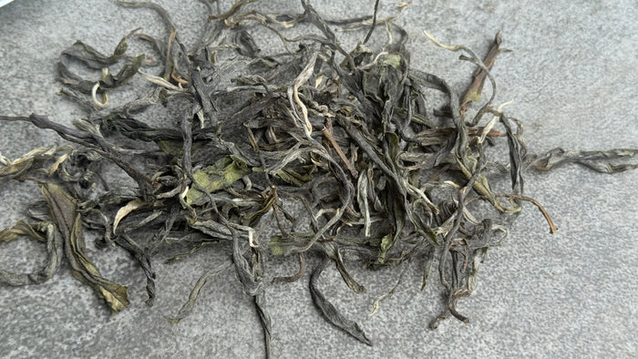 Spring 2025 Mang Nuo Single Trees