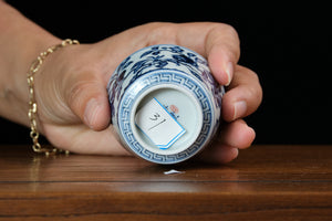 Jingdezhen cup 31