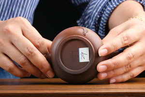 Jianshui teapot 29