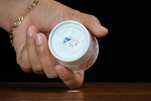 Jingdezhen cup 52