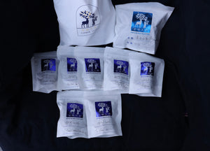 Beginner Sample Pack