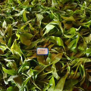 Spring 2026 Lao Man E Single Trees