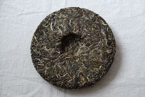 Autumn 2025 Lao Man E Gushu