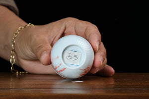 Jingdezhen cup 53