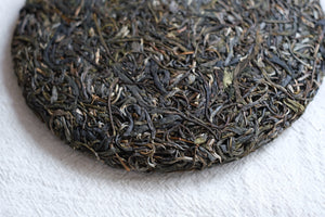 Autumn 2025 Yan Leng Yun