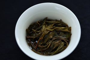 Spring 2025 Ding Jia Zhai