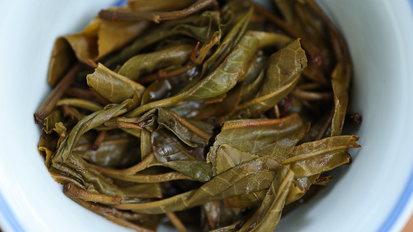 Spring 2021 Da Zhong Shan Single Trees