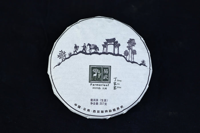 Spring 2025 Ding Jia Zhai