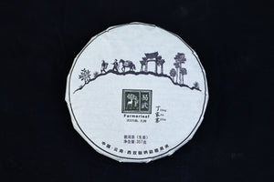 Spring 2025 Ding Jia Zhai