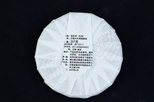 Spring 2025 Ding Jia Zhai