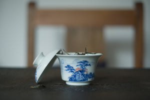 Gaiwan #9