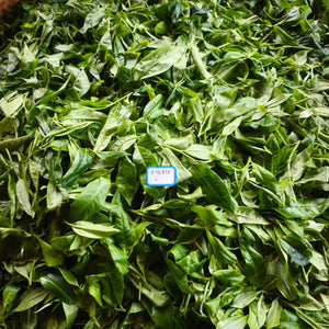 Spring 2026 Lao Man E Single Trees