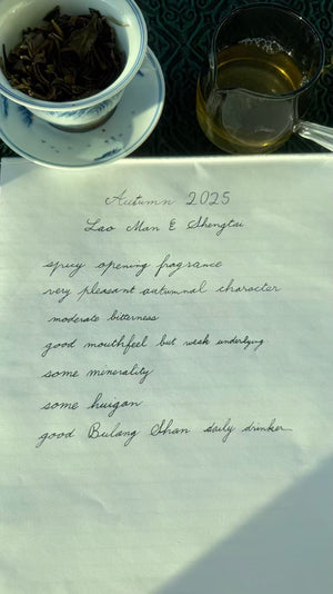 Autumn 2025 Lao Man E  Shengtai