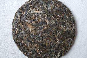 Autumn 2025 Lao Man E Gushu