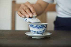 Gaiwan #1