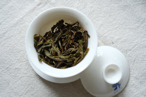 Autumn 2025 Lao Man E Gushu