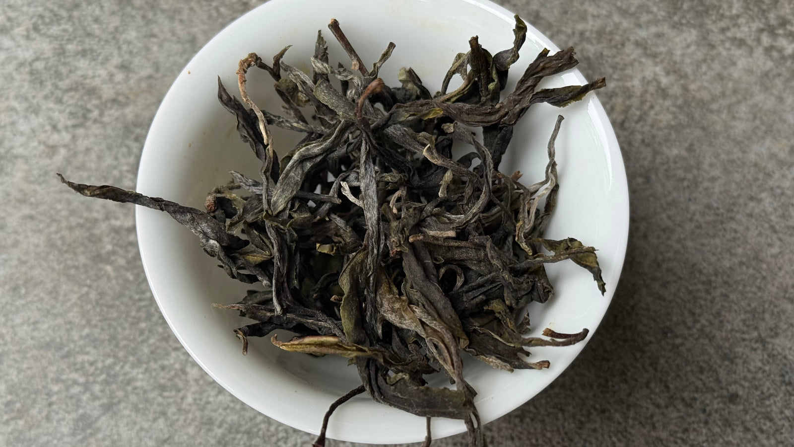 Spring 2025 Ba Ka Noy Single Trees