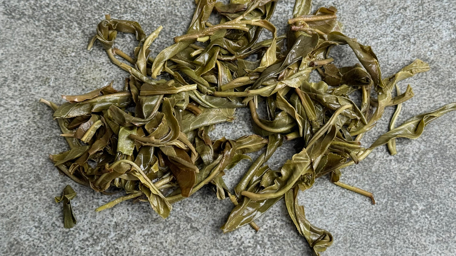 Spring 2025 Jingmai Single Trees