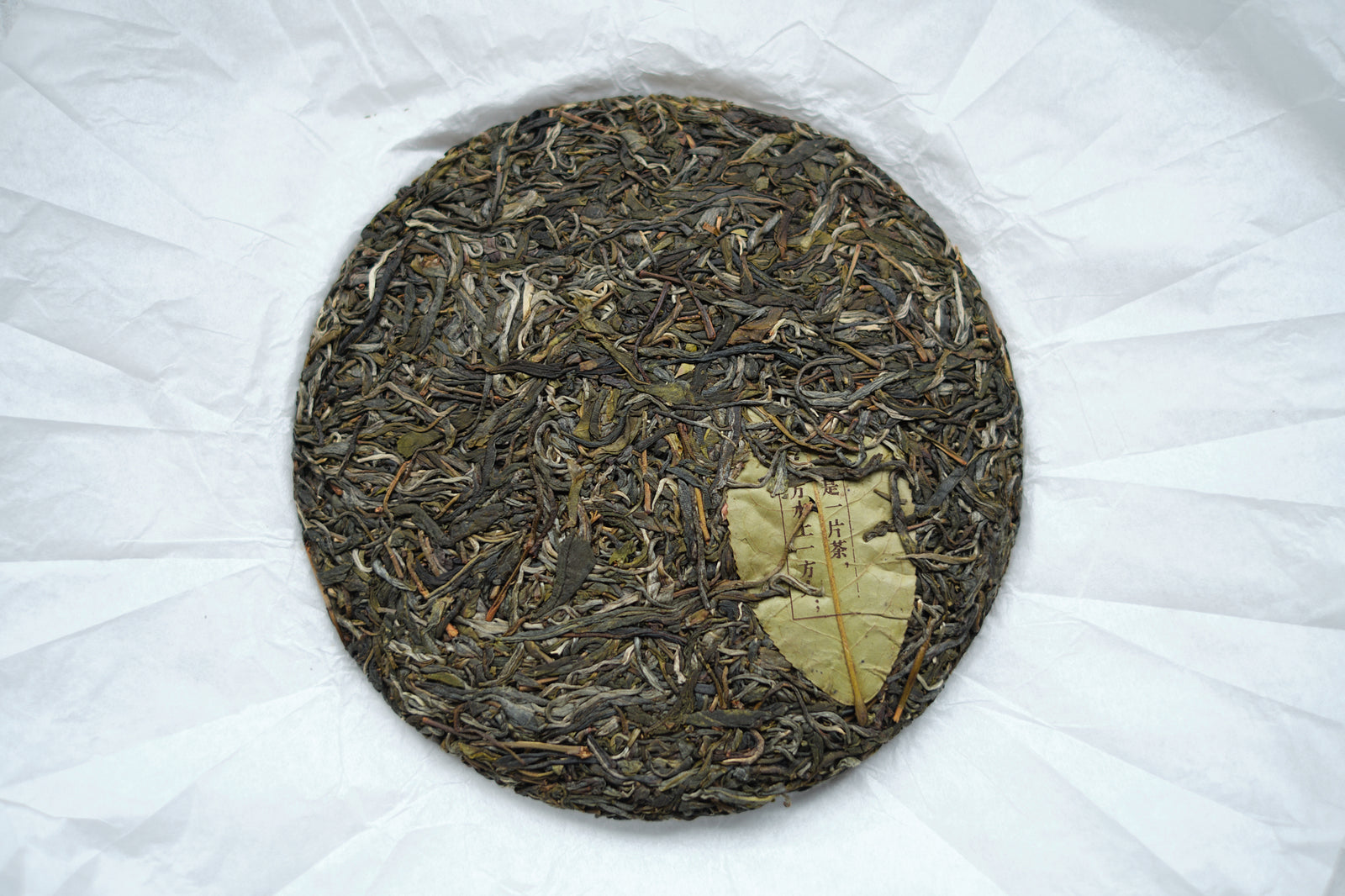 Spring 2024 Jingmai Miyun