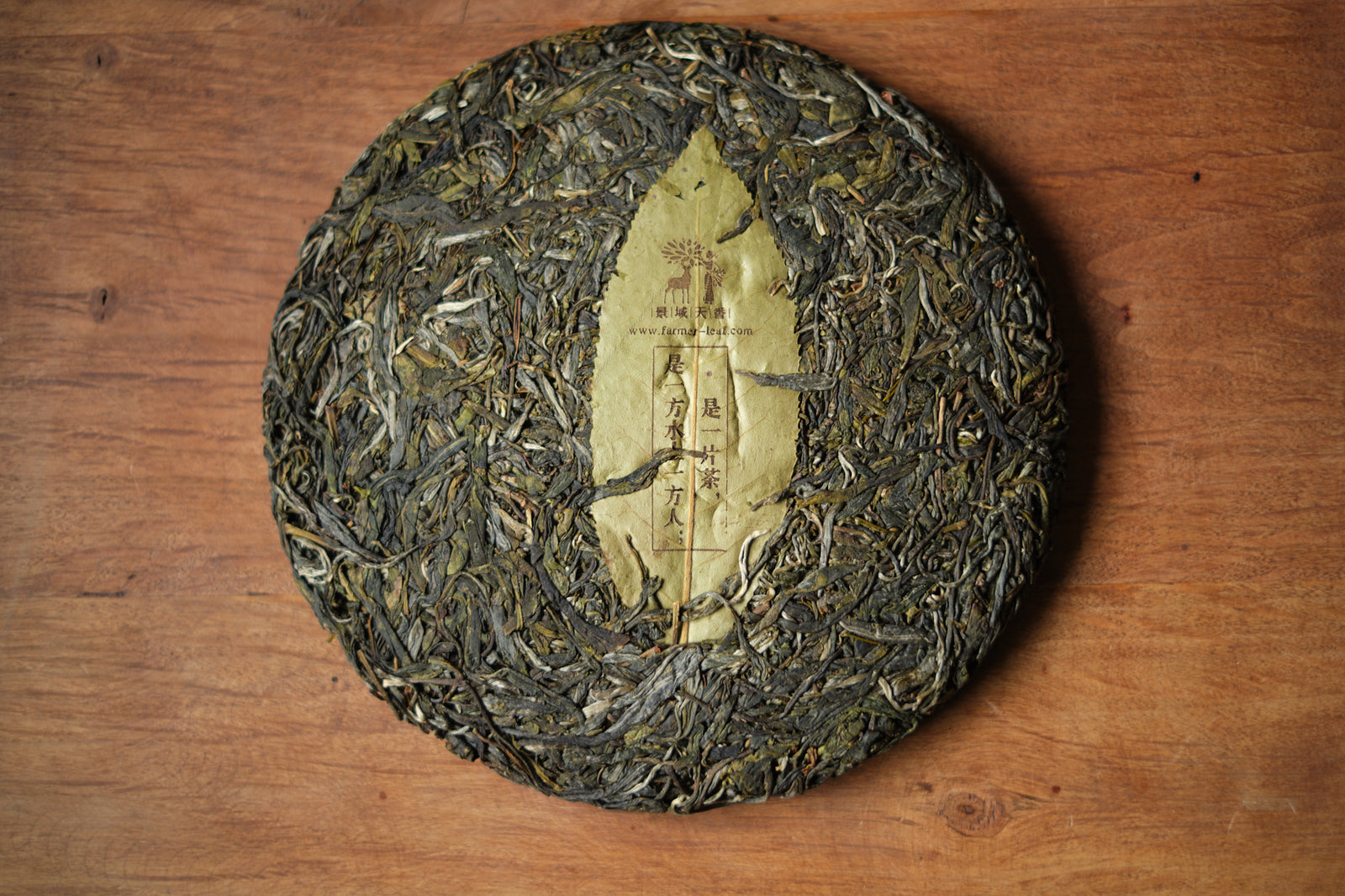 Spring 2024 Hua Zhu Liang Zi